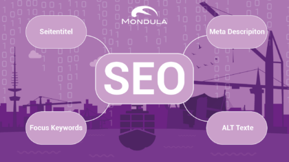 Search engine optimization tools