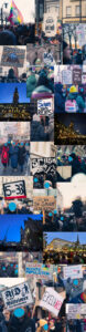 Es wird eine Collage verschiedener Fotos abgebildet, auf denen Demonstranten in Hamburg gegen die AFD demonstrieren. Es werden Plakate und Transparente hochgehalten.